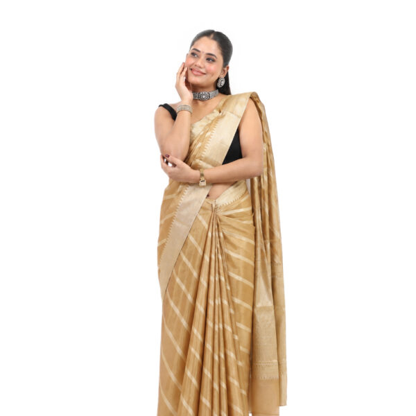 Lustrous Tissue Blend Saree - view 1