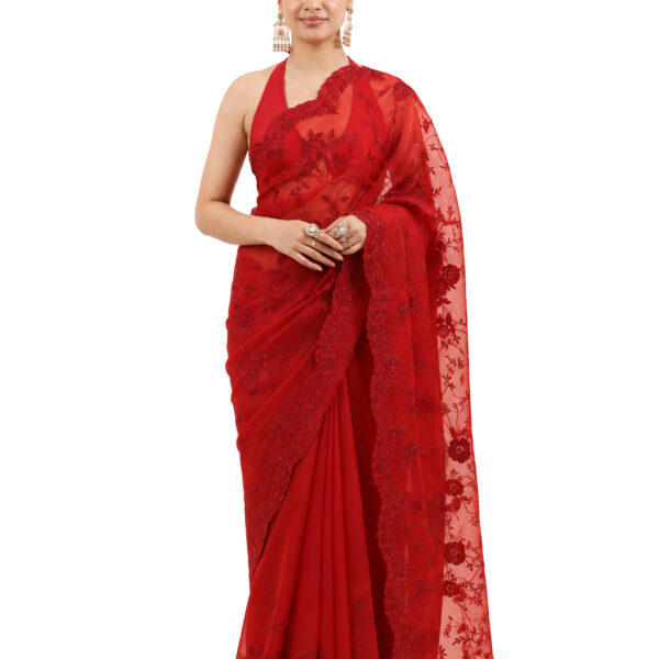 Exquisite Red Pure Organza Hand Embroidery Saree - view 1